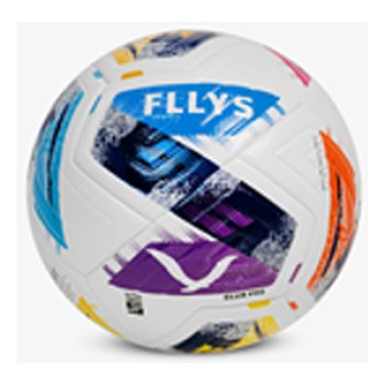 fllys-club-pro